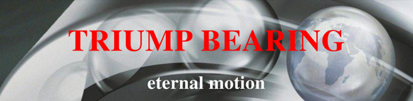 Triump bearing eternal motion